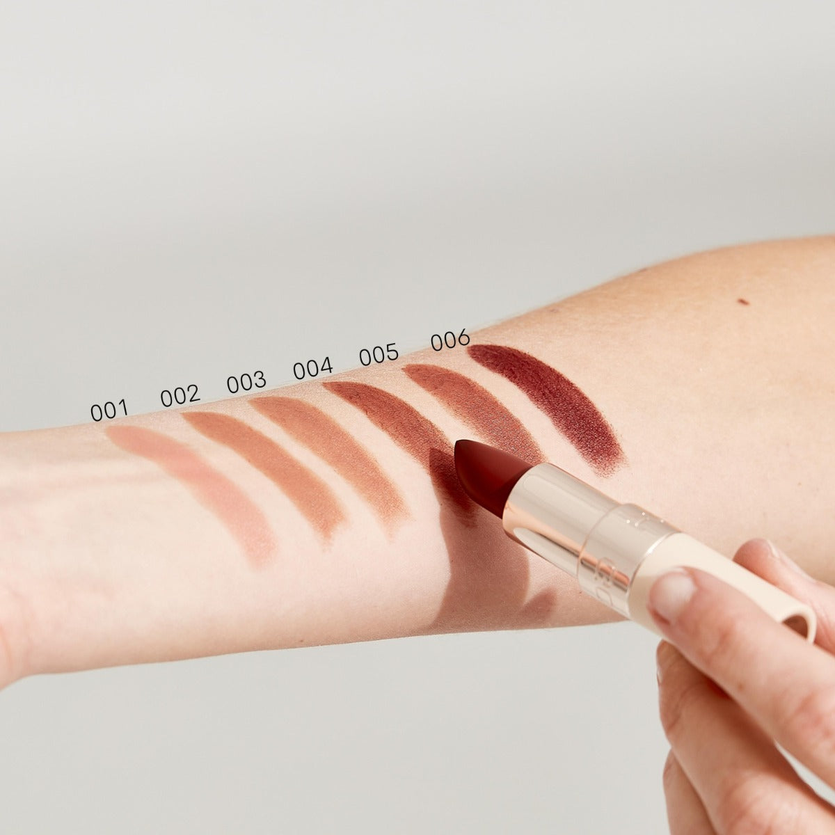 Luxury Nude Lips - 003 Stripped